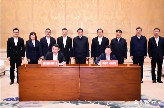 450亿，100GWh！又一锂电项目落地